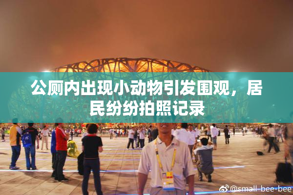 公厕内出现小动物引发围观，居民纷纷拍照记录