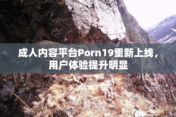 成人内容平台Porn19重新上线，用户体验提升明显