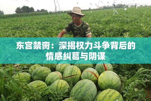 东宫禁脔：深揭权力斗争背后的情感纠葛与阴谋