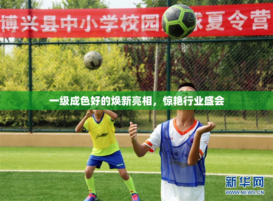 一级成色好的焕新亮相，惊艳行业盛会