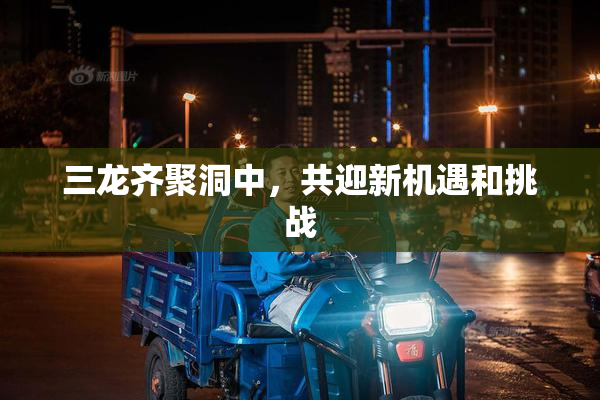 三龙齐聚洞中，共迎新机遇和挑战