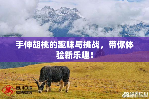 手伸胡桃的趣味与挑战，带你体验新乐趣！