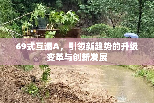 69式互添A，引领新趋势的升级变革与创新发展