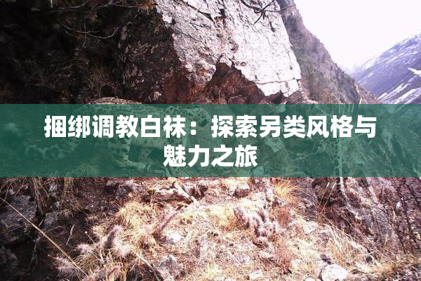捆绑调教白袜：探索另类风格与魅力之旅