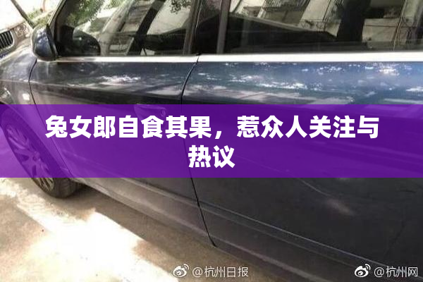 兔女郎自食其果，惹众人关注与热议