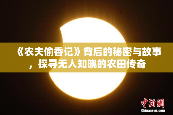 《农夫偷香记》背后的秘密与故事，探寻无人知晓的农田传奇