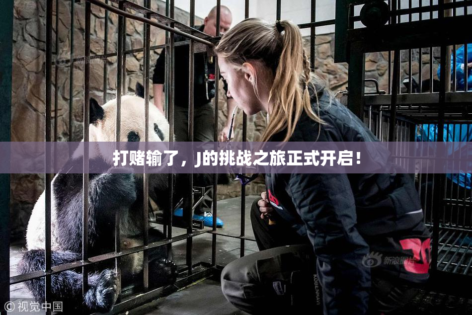 打赌输了，J的挑战之旅正式开启！