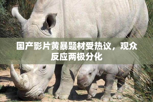 国产影片黄暴题材受热议，观众反应两极分化
