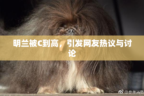 明兰被C到高，引发网友热议与讨论