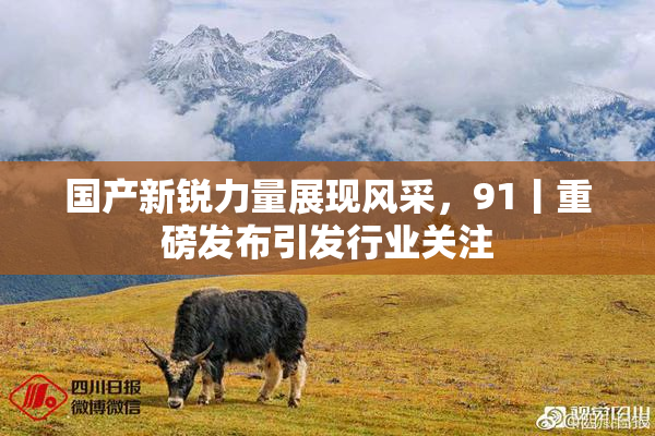 国产新锐力量展现风采，91丨重磅发布引发行业关注