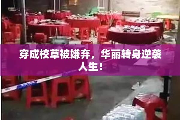 穿成校草被嫌弃，华丽转身逆袭人生！