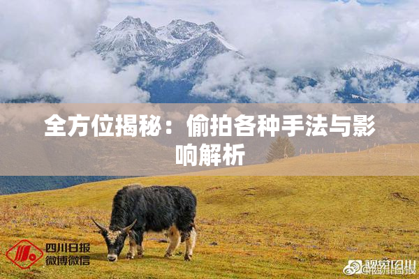 全方位揭秘：偷拍各种手法与影响解析