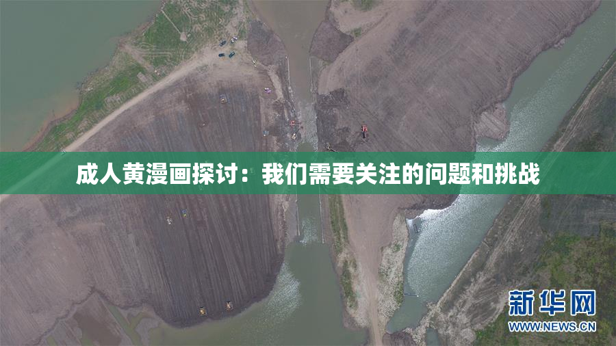 成人黄漫画探讨：我们需要关注的问题和挑战