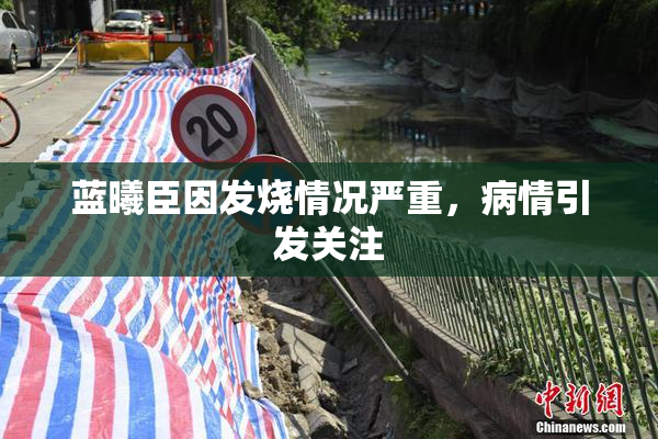 蓝曦臣因发烧情况严重，病情引发关注