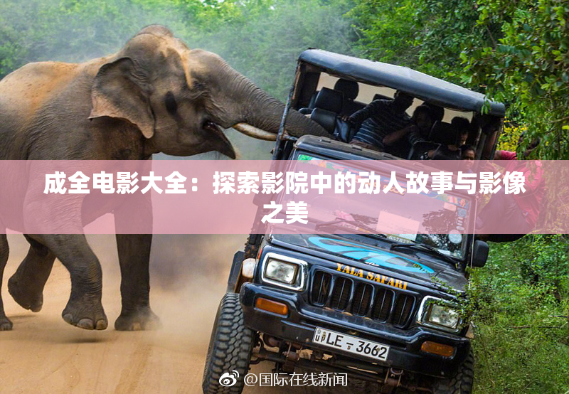 成全电影大全：探索影院中的动人故事与影像之美