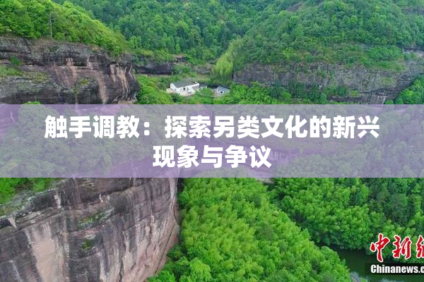 触手调教：探索另类文化的新兴现象与争议