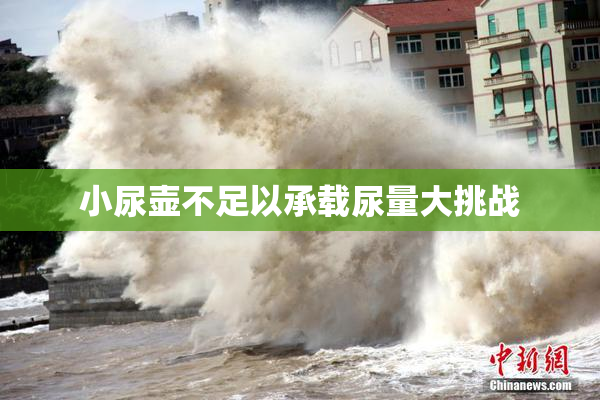 小尿壶不足以承载尿量大挑战