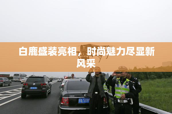 白鹿盛装亮相，时尚魅力尽显新风采