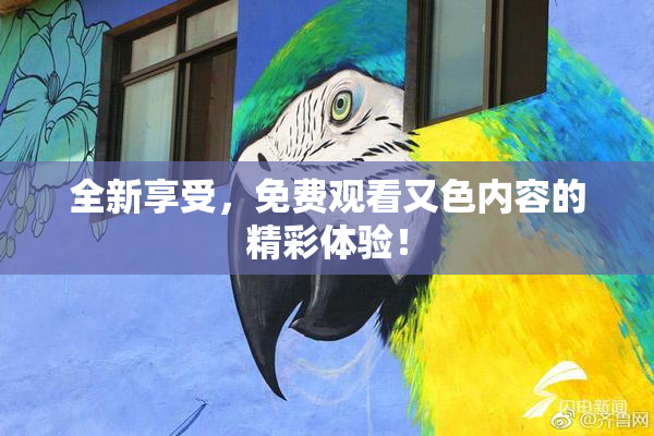 全新享受，免费观看又色内容的精彩体验！