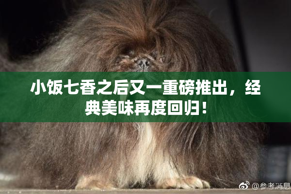 小饭七香之后又一重磅推出，经典美味再度回归！