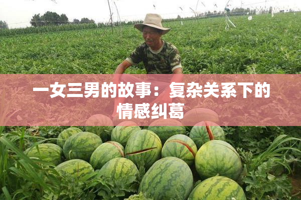 一女三男的故事：复杂关系下的情感纠葛