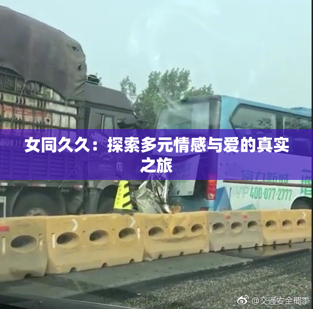 女同久久：探索多元情感与爱的真实之旅