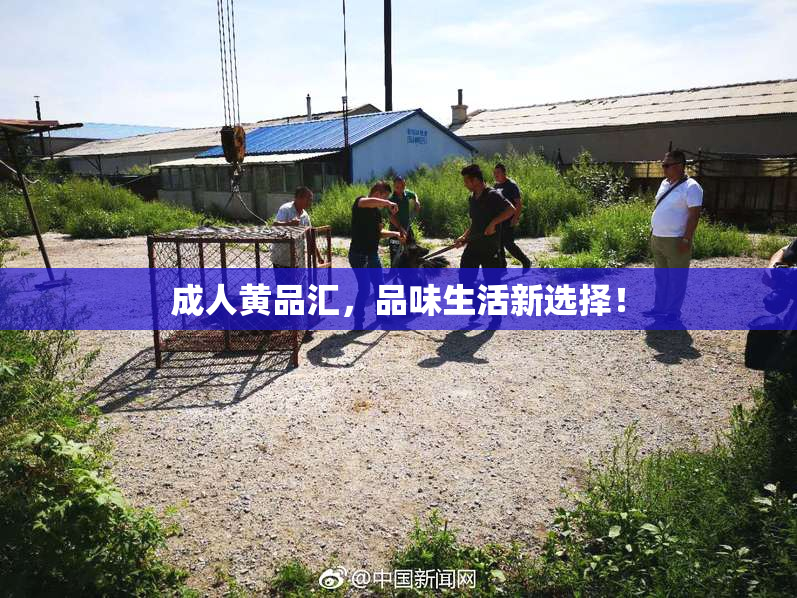 成人黄品汇，品味生活新选择！