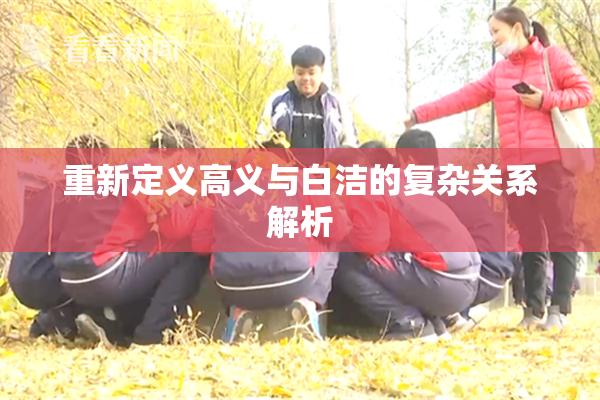 重新定义高义与白洁的复杂关系解析