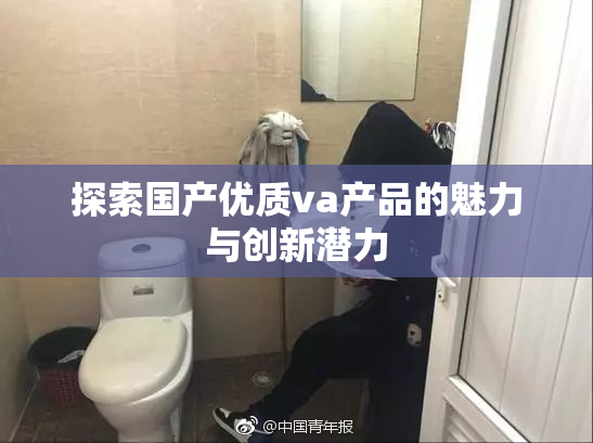 探索国产优质va产品的魅力与创新潜力