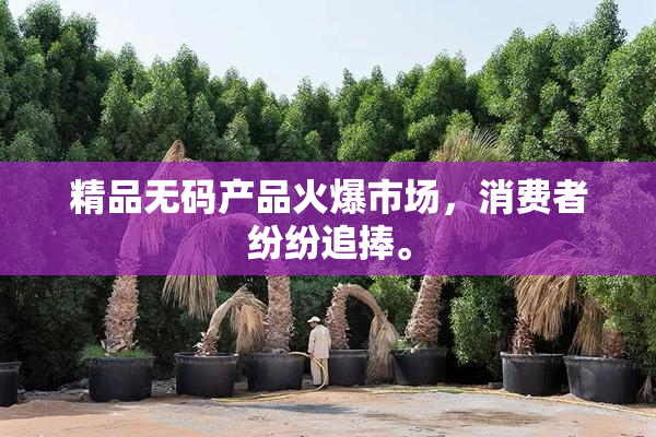 精品无码产品火爆市场，消费者纷纷追捧。