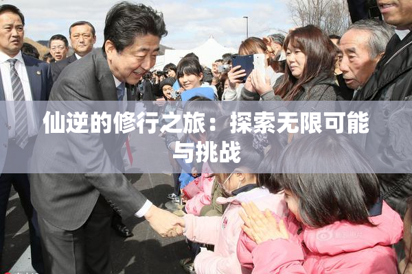 仙逆的修行之旅：探索无限可能与挑战