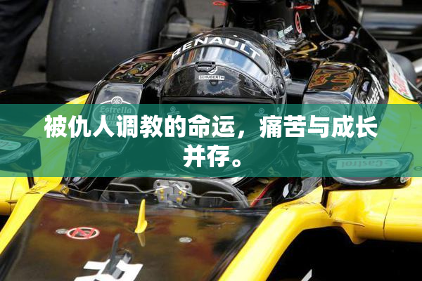 被仇人调教的命运，痛苦与成长并存。