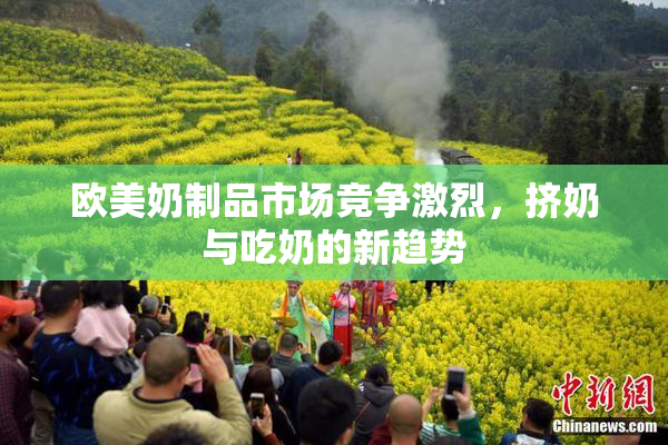 欧美奶制品市场竞争激烈，挤奶与吃奶的新趋势