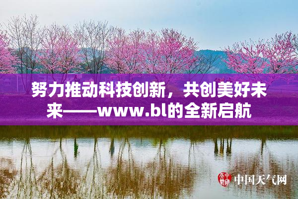 努力推动科技创新，共创美好未来——www.bl的全新启航