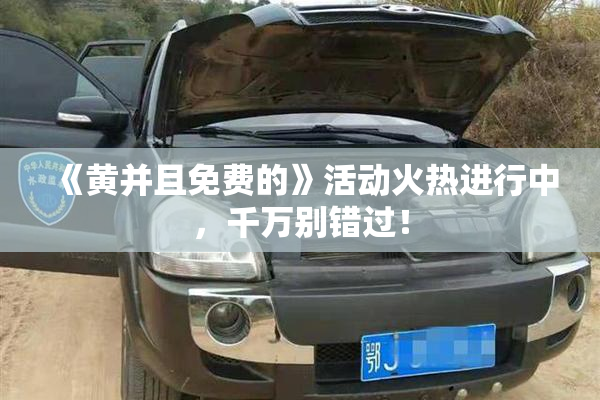 《黄并且免费的》活动火热进行中，千万别错过！