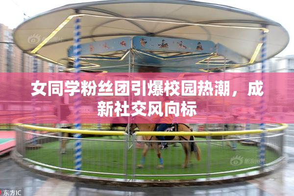 女同学粉丝团引爆校园热潮，成新社交风向标