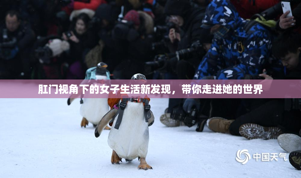 肛门视角下的女子生活新发现，带你走进她的世界