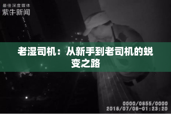 老湿司机：从新手到老司机的蜕变之路