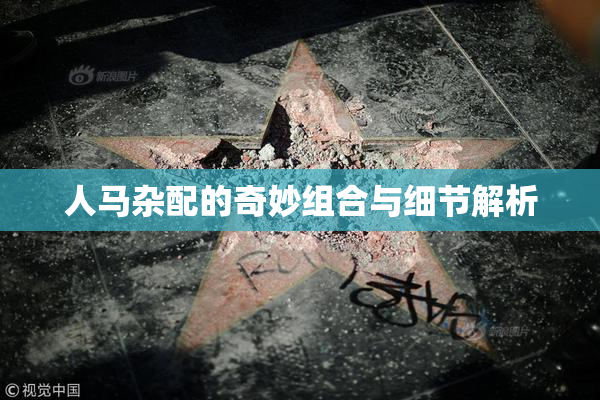 人马杂配的奇妙组合与细节解析