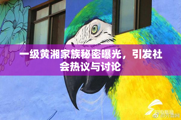 一级黄湘家族秘密曝光，引发社会热议与讨论