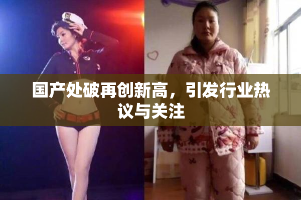 国产处破再创新高，引发行业热议与关注