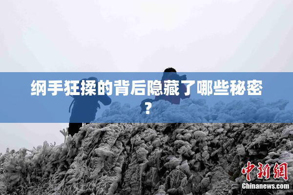 纲手狂揉的背后隐藏了哪些秘密？