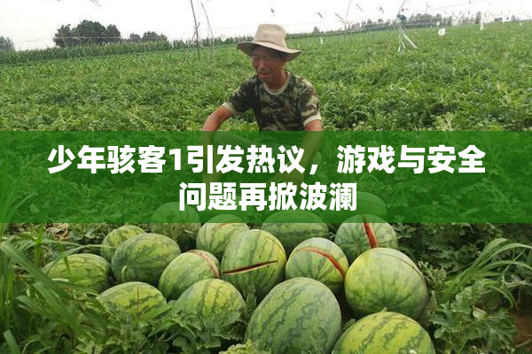少年骇客1引发热议，游戏与安全问题再掀波澜