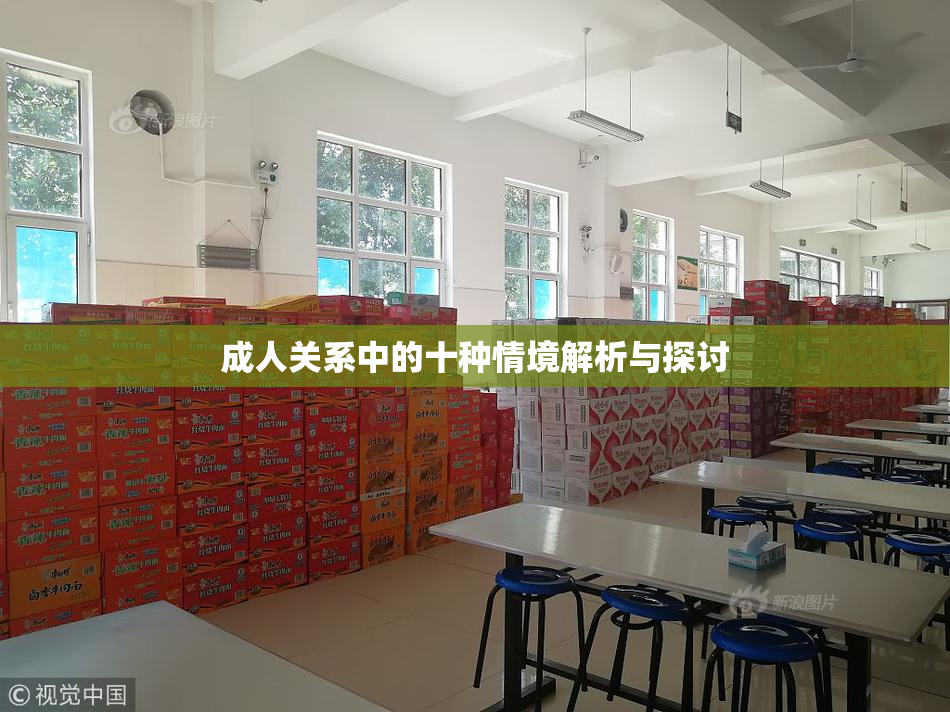 成人关系中的十种情境解析与探讨