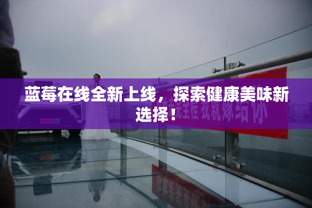 蓝莓在线全新上线，探索健康美味新选择！