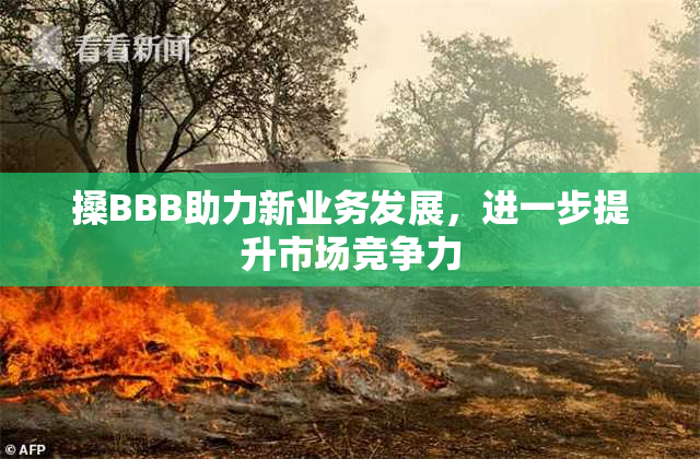 搡BBB助力新业务发展，进一步提升市场竞争力