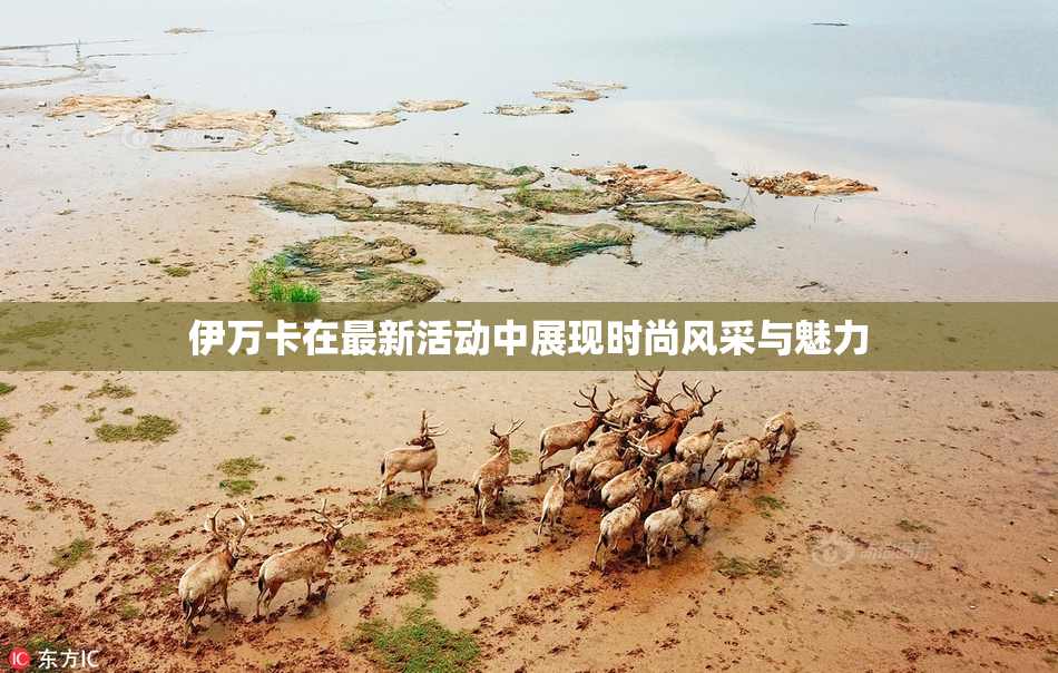 伊万卡在最新活动中展现时尚风采与魅力