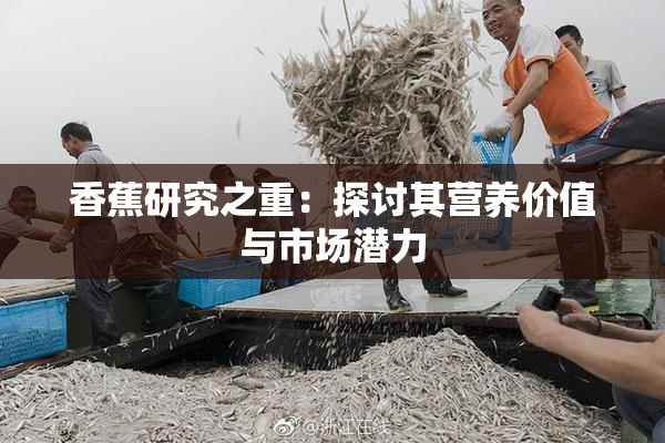 香蕉研究之重：探讨其营养价值与市场潜力
