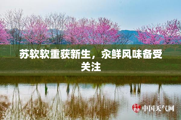 苏软软重获新生，汆鲜风味备受关注