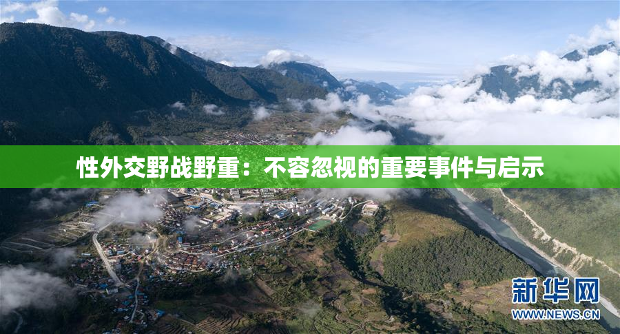 性外交野战野重：不容忽视的重要事件与启示